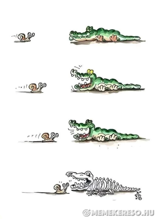 Krokodil csigára vár
